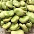 hakobetet's cooksnap of when they made そら豆 茹で方 覚書.