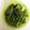 クックVXN8PT☆'s cooksnap of when they made ピーマンの塩昆布あえ.