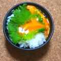 nosso's cooksnap of when they made 漬け卵ご飯.