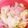 ボニタロー's cooksnap of when they made 簡単！ハムと白菜の重ね焼き.