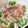卵せんべい's cooksnap of when they made さやえんどうのマヨネーズ和え.