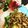 seacomet's cooksnap of when they made レタスと茸サラダバルサミコドレッシング.
