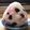 ☆あいちゃん's cooksnap of when they made しば漬け＆天かすのおにぎり.