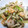koropiyon's cooksnap of when they made レタスときのこ、えびの塩とろみ炒め.