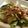 ふ〜あちゃん's cooksnap of when they made ＊きのことベーコンのサラダ＊.