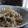 まひぼぅ's cooksnap of when they made 優しいプロの味♡たけのこご飯.