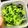 ちんゆき's cooksnap of when they made やみつき！小松菜ワサビ海苔のおひたし.