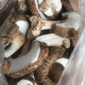 らーてぃん's cooksnap of when they made 私流！椎茸の保存方法.