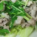 うずしろ's cooksnap of when they made 豆苗とネギの柚子胡椒サラダ.