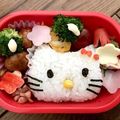 なっこっこ3's cooksnap of when they made パパでもできる簡単！肉団子.