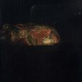 nnaa_'s cooksnap of when they made ぷるふわキッシュ.