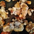 あついおちゃ's cooksnap of when they made 鰤の白子のバター醤油ソテー.