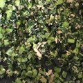 yui0301's cooksnap of when they made 節約常備菜！大根の葉とツナの炒め物.