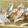 がっしゅまま's cooksnap of when they made 牛乳deミルキーキャラメル.