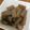 Nyaooomi's cooksnap of when they made あと一品＊こんにゃくの優しい煮物＊.