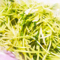 かな2's cooksnap of when they made ★豆苗(トウミョウ)のにんにく炒め★.