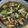 1072gou's cooksnap of when they made チンゲン菜としめじのオイスターソース炒め.