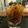 わかばのあおちゃん's cooksnap of when they made ソムタム（タイ風人参サラダ）.