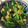 もち子29's cooksnap of when they made ほうれん草納豆和え.
