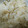 とこぷっぷ's cooksnap of when they made 塩昆布としらすの炊き込みご飯.