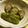 いお。's cooksnap of when they made これがサッパリのコツ☆なすの揚げ浸し.