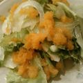 クックWGV2OH☆'s cooksnap of when they made 野菜たっぷり・すりおろし旨ドレッシング。.