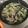 クックZ8J4H4☆'s cooksnap of when they made 小松菜と豚肉の塩炒め.