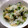 pikusuzu2's cooksnap of when they made セリと筍のまぜご飯.