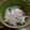 年の差姉妹's cooksnap of when they made 簡単☆ぽりぽり大根のお漬物.