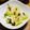 ☆ジェラトーニ☆'s cooksnap of when they made 超簡単☆レタスと韓国海苔のさらだ.