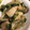 H♡S's cooksnap of when they made 簡単！キノコと鶏むね肉のバター醤油炒め☆.