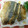 クックNFIOKE☆'s cooksnap of when they made アジの簡単ムニエル.