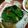 クックNFIOKE☆'s cooksnap of when they made 簡単！早い！お弁当にも♪オクラのおひたし.