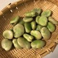 ♡maixxtm♡'s cooksnap of when they made そら豆 茹で方 覚書.
