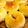 ＳＡＲＵＲＵん's cooksnap of when they made カマンベールチーズクルミパン.