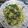 さぁ★たぁ★'s cooksnap of when they made 塩昆布で水菜のナムル.