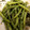 YCRUDO's cooksnap of when they made いんげんの塩麹ごま和え.