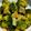 クック64OY6U☆'s cooksnap of when they made やみつきブロッコリー.