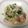 ポニーリボン's cooksnap of when they made ヘルシー♪まろやか豆腐クリームパスタ.