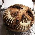 びび太尊's cooksnap of when they made 基本のカンパーニュ.