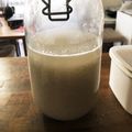 にゃんにょ's cooksnap of when they made 美味❤麹屋さんの生麹を使って作る塩麹.