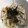 ayakaL7's cooksnap of when they made 節約もやし★梅のりゴマ風味.