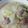 ёdey2upё's cooksnap of when they made 時短簡単♡新玉ねぎのクリーム煮♡.
