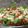 tutocook's cooksnap of when they made ❁タコとセロリの地中海風マリネサラダ❁.