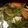 ちと子's cooksnap of when they made せり汁.