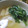 えみんちゅ＊'s cooksnap of when they made おもちで☆簡単すまし汁.