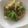 なか！！'s cooksnap of when they made 糖質制限!ホタルイカと春キャベツのぺぺ.