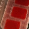 りんごぉぉぉ's cooksnap of when they made ☆離乳食初期☆トマトペースト.