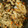クックV012HG☆'s cooksnap of when they made 塩鮭の炊き込みご飯.