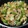 ハル父ちゃん's cooksnap of when they made ご飯が進む♪厚揚げと野菜の簡単中華炒め.